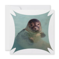 Baby Seal Invitation