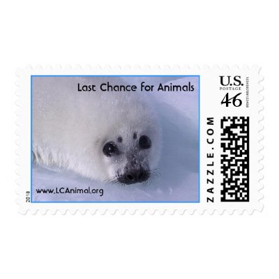Baby Seal Postage Stamps by lastchanceforanimals