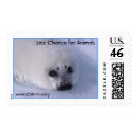 Baby Seal postage by lastchanceforanimals Baby Seal postage