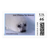 Baby Seal Postage Stamps