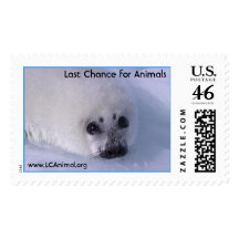 Baby Seal Postage Stamps