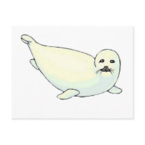 Baby Seal Post Card