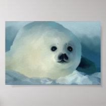 Baby seal poster