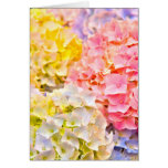 Baby Shower Flowers cards
