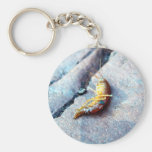 Baby Shrimp Key Chains