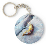 Baby Shrimp Key Chains