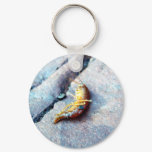Baby Shrimp Key Chains