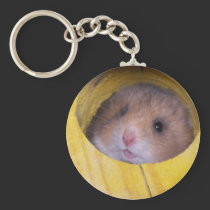 Baby Sierra Keychain keychains