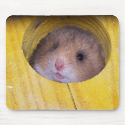 Baby Sierra Mouse Mat by dduhaime55