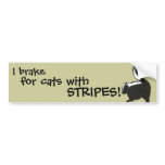Baby Skunk Bumper Sticker