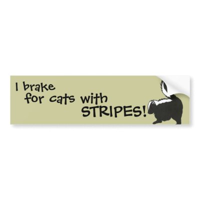 Baby Skunk Bumper Sticker by Customizables