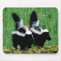 Baby Skunks In The Grass Mousepad