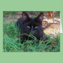 Baby Slate- Black kitty card