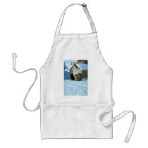 Baby sled dogs, Greenland Apron