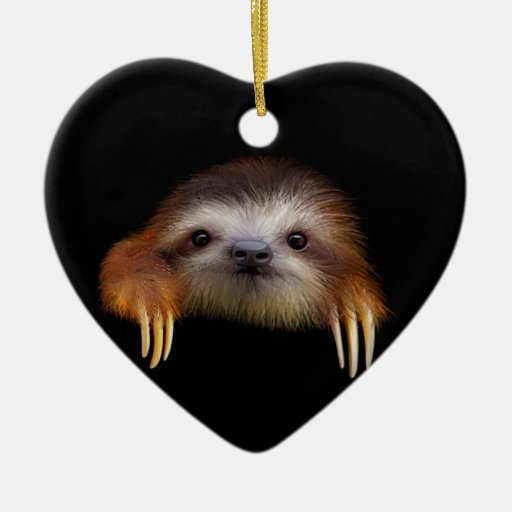 sloth with heart stuffed animal