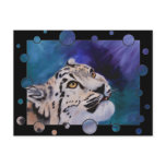 Baby Snow Leopard Bubbles Postcard