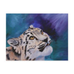 Baby Snow Leopard Postcard