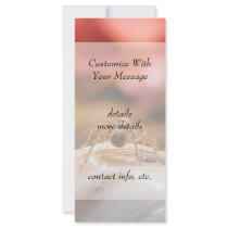 Baby Spider's First Day Rack Card Design