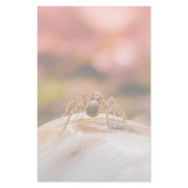 Baby Spider's First Day Stationery