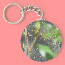 baby spiders keychains