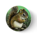Baby squirrel and cones pinback button