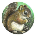 Baby squirrel and cones sticker