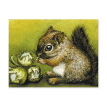 Baby squirrel and hazelnuts postcards by tanyabond Baby squirrel and hazelnuts postcards