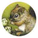 Baby squirrel and hazelnuts stickers by tanyabond Baby squirrel and hazelnuts stickers