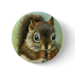 Baby squirrel and mushrooms buttons