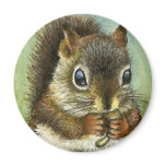 Baby squirrel and mushrooms magnet