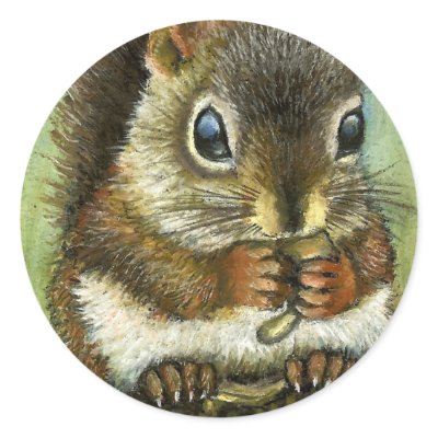 Baby squirrel and mushrooms round sticker by tanyabond