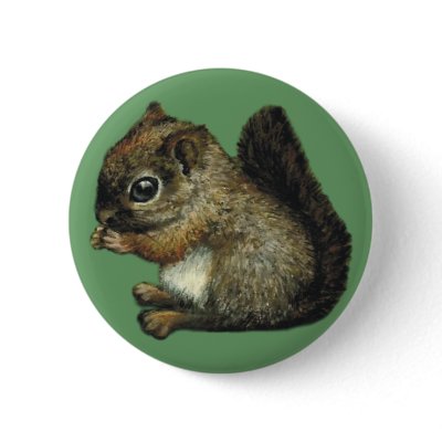baby-squirrel badge button by tanyabond