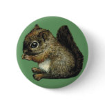 baby-squirrel badge buttons