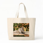 Baby Squirrel bags
