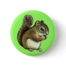 Baby squirrel button