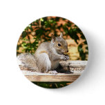 Baby Squirrel Pin