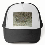 baby squirrel trucker hat