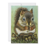 Baby squirrel announcements