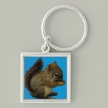 Baby Squirrel keychains