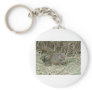 baby squirrel keychains