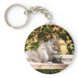 Baby Squirrel Key Chains