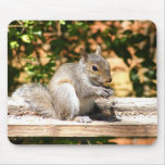 Baby Squirrel Mouse Mat