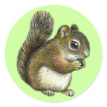 Baby squirrel round sticker