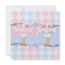 Baby Storks for Baby Gender Reveal Invitation