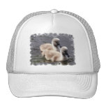Baby Swans Baseball Hat