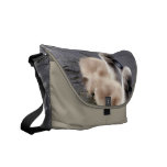 Baby Swans Messenger Bag