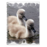 Baby Swans Notebook
