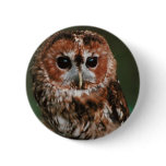 Baby Tawny Owl Buttons