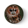 Baby Tawny Owl Buttons