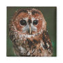 Baby Tawny Owl Refrigerator Magnet